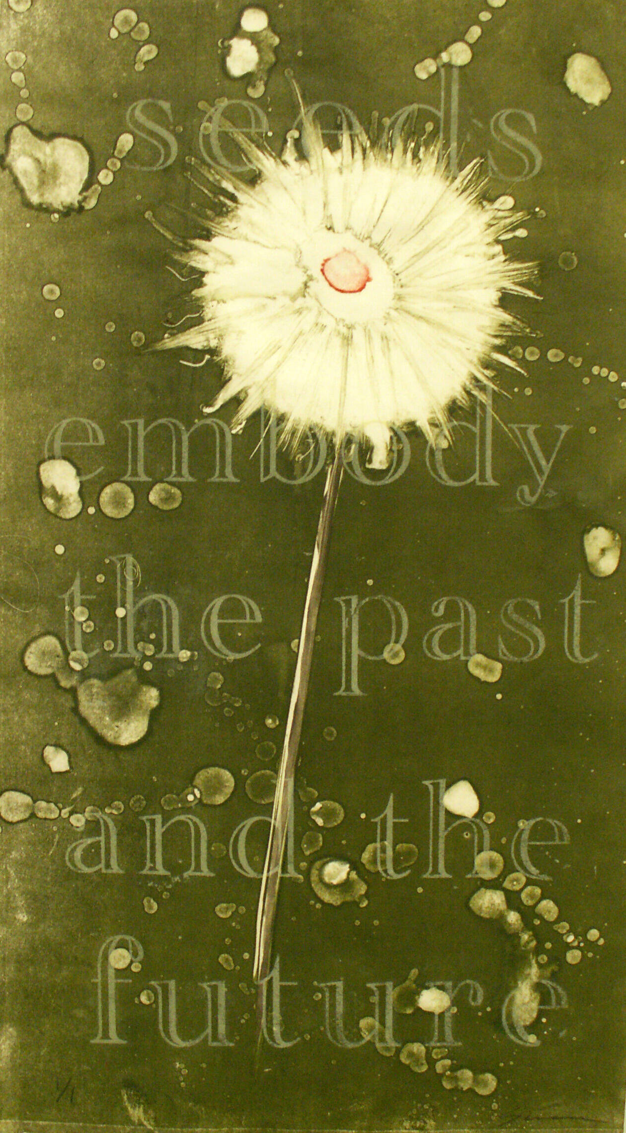 Green background with a bright white flower with a red center. White 'blobs' throughout- white text.